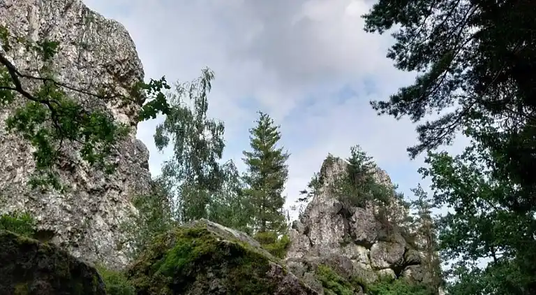Sommerhus i Blossersberg