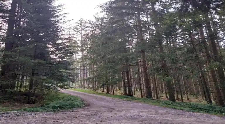 Sommerhus i Blossersberg