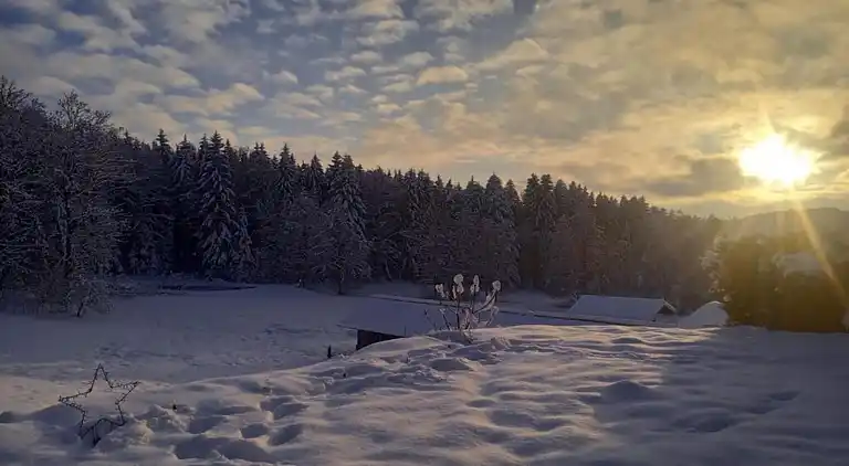 Sommerhus i Blossersberg