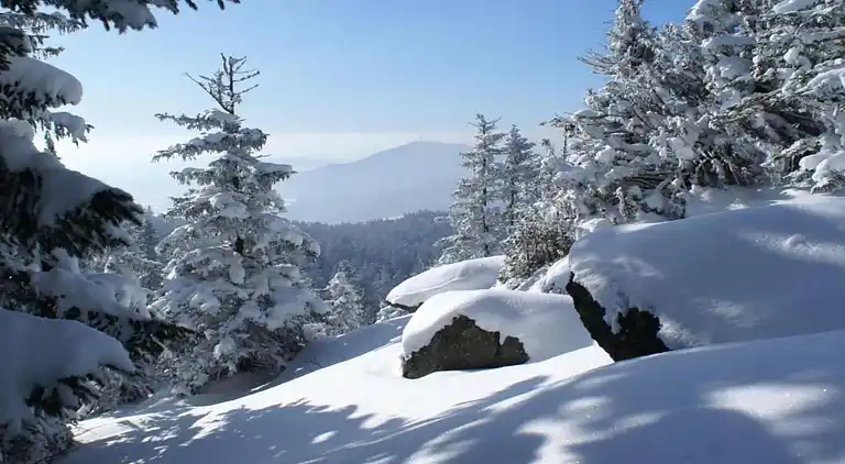 Sommerhus i Blossersberg