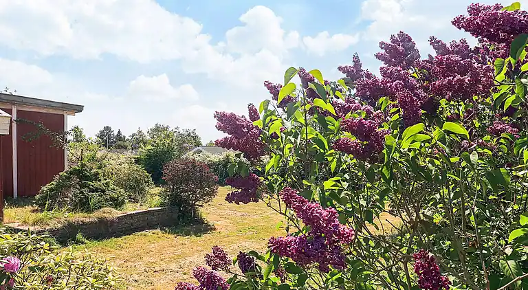Holiday home in Bogø By