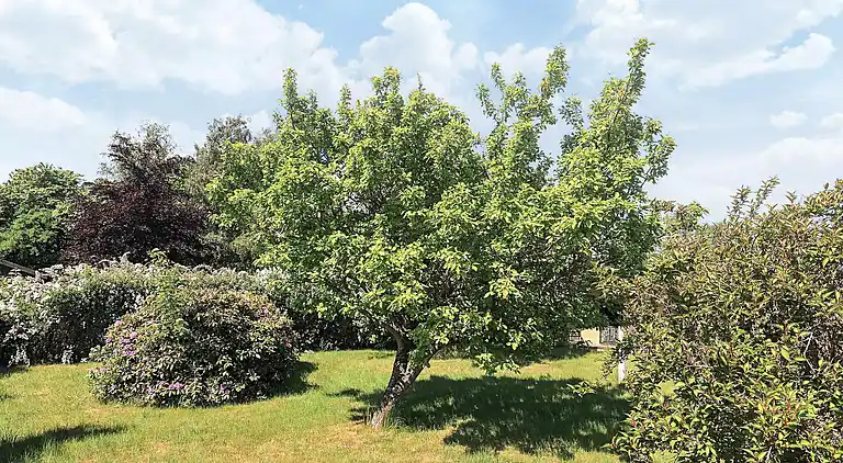 Holiday home in Bogø By