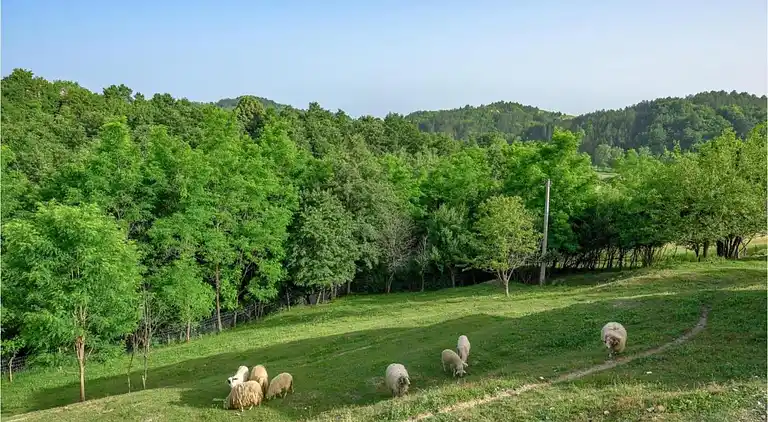 Vakantiehuis in Tuhelj