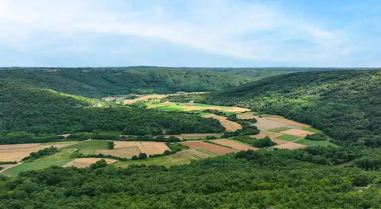 Ferienwohnung in Pješčana Uvala
