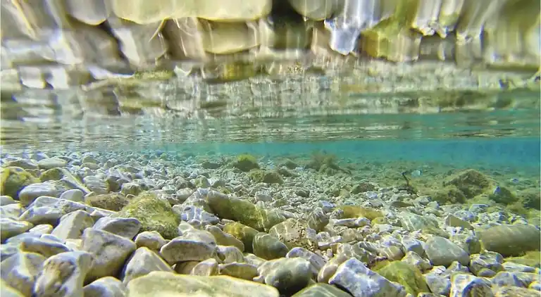 Apartment in Pješčana Uvala