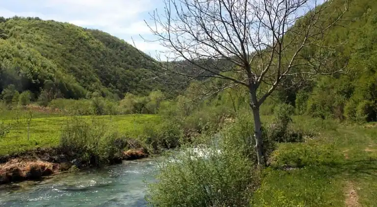 Ferienwohnung in Pješčana Uvala