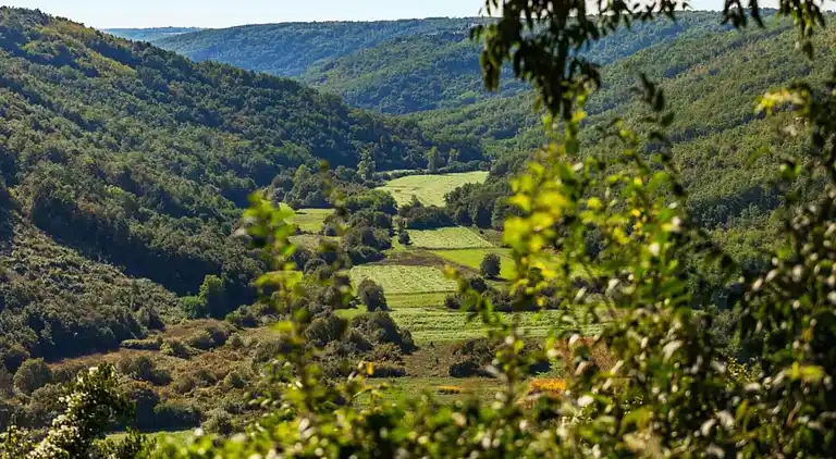 Ferienwohnung in Pješčana Uvala
