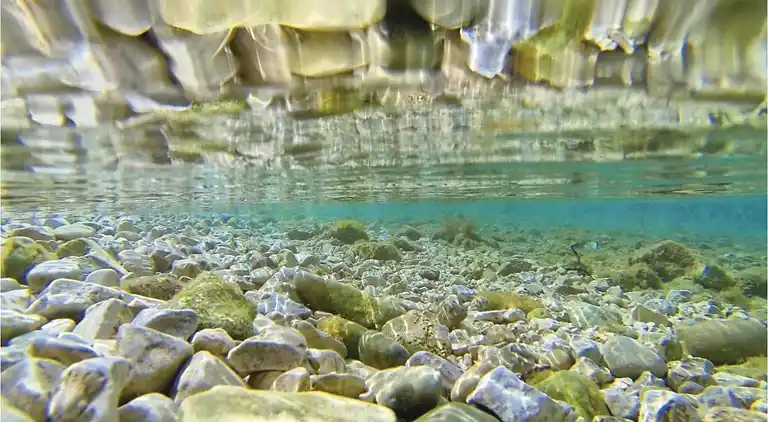 Ferienwohnung in Pješčana Uvala