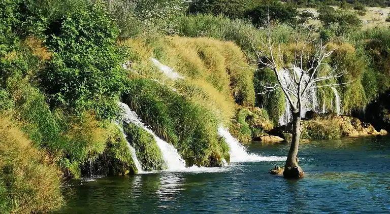 Villa i Novaki Motovunski