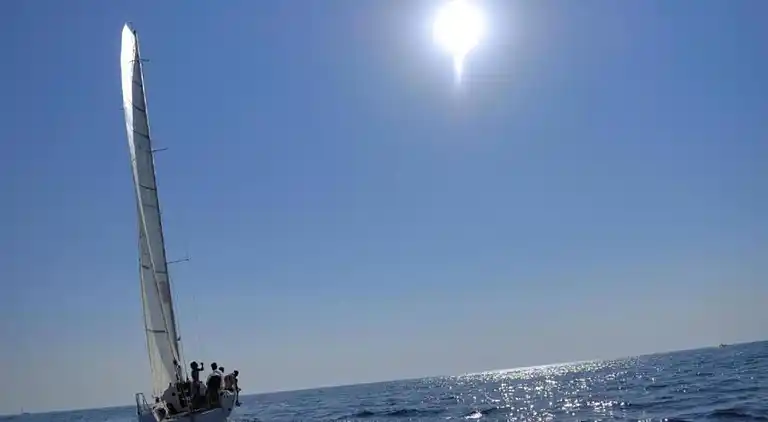 Villa i Novaki Motovunski