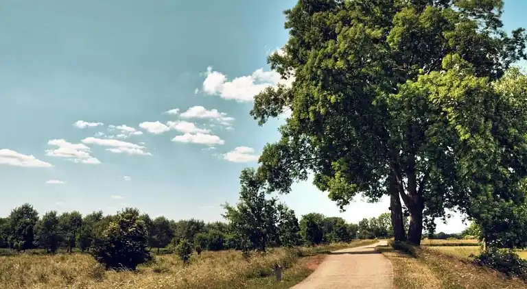 Vakantiehuis in Uikhoven