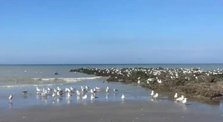 Villa in Middelkerke