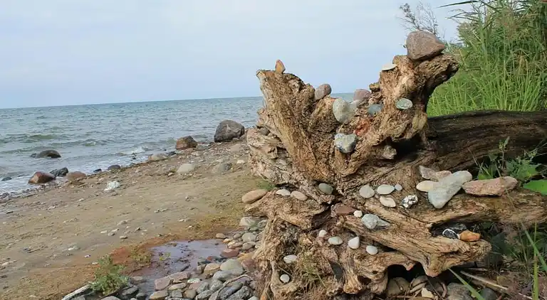 Bungalow in Damshagen