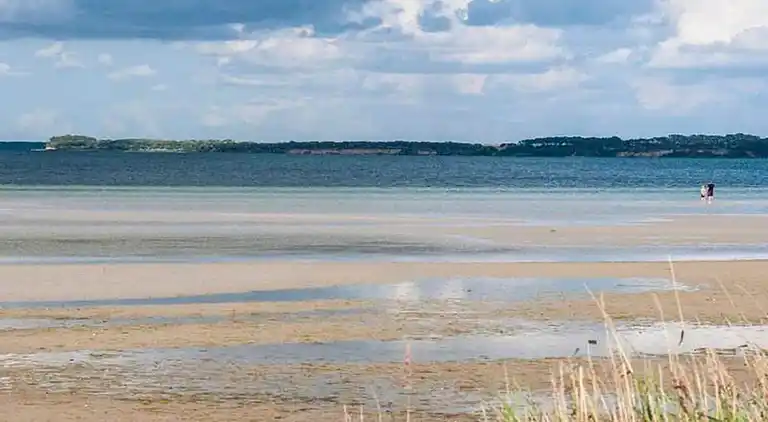 Apartment in Stellshagen