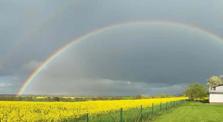 Ferielejlighed i Damshagen