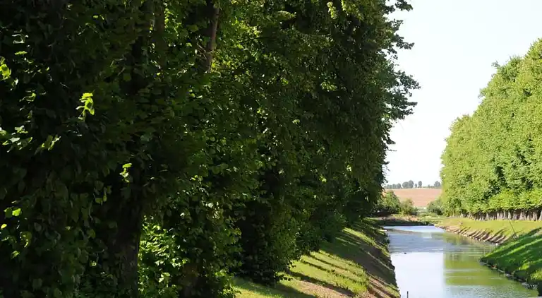 Apartment in Damshagen