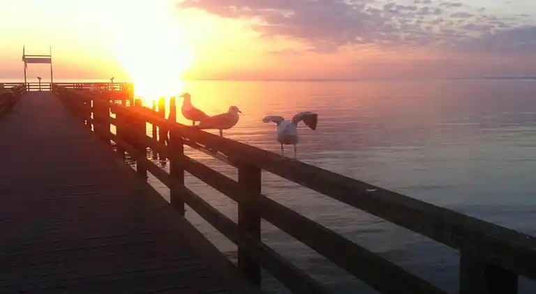Apartment in Damshagen