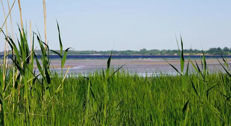 Ferielejlighed i Damshagen