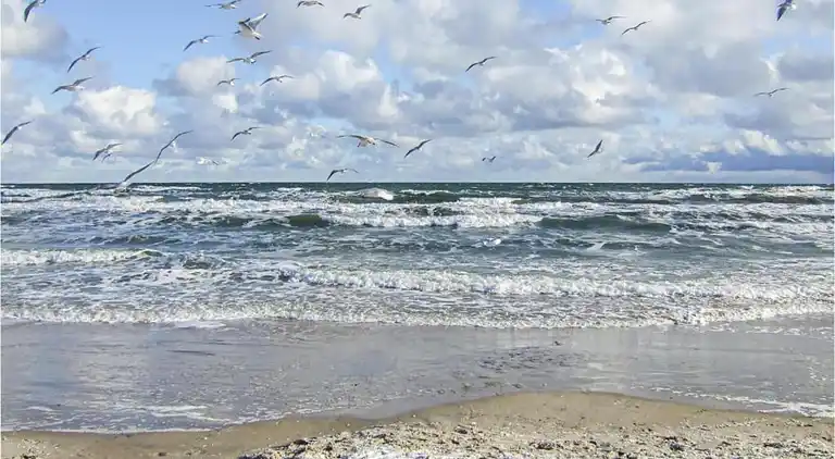 Apartment in Damshagen