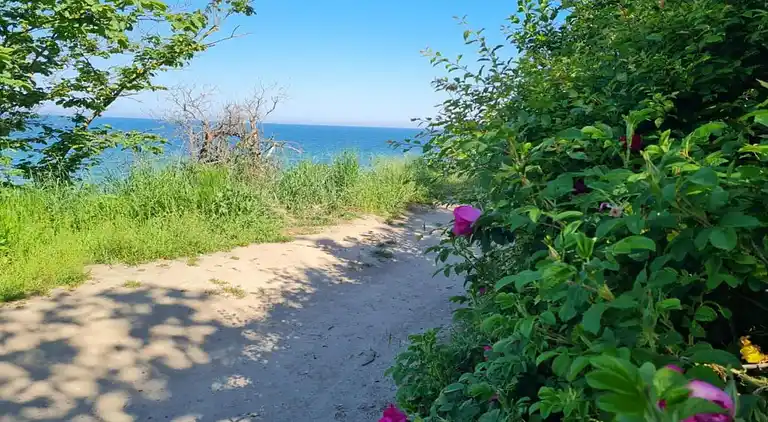 Ferielejlighed i Rerik