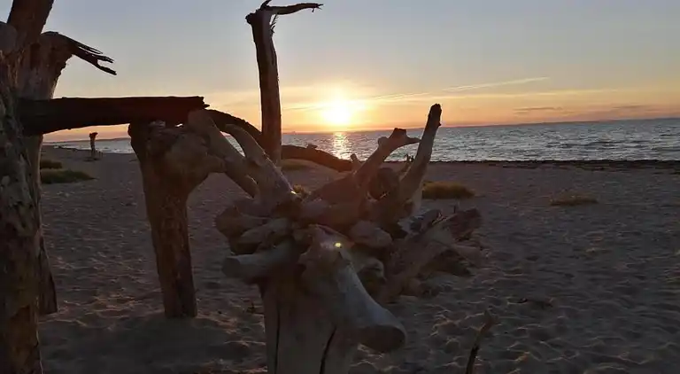 Bungalow in Elmenhorst