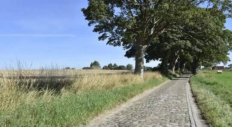 Ferielejlighed i Wohlenberg