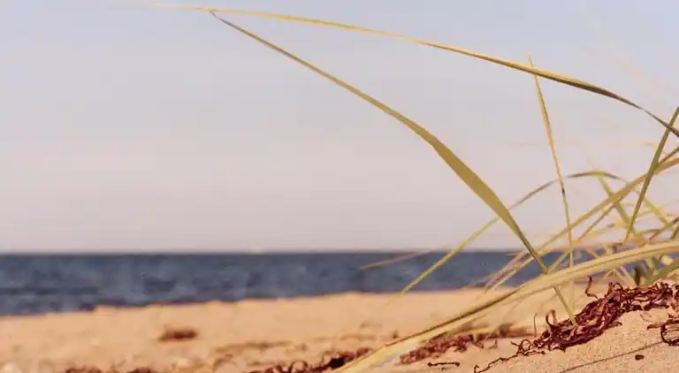 Ferielejlighed i Wohlenberg