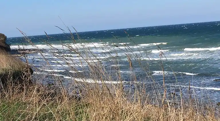 Bungalow in Elmenhorst