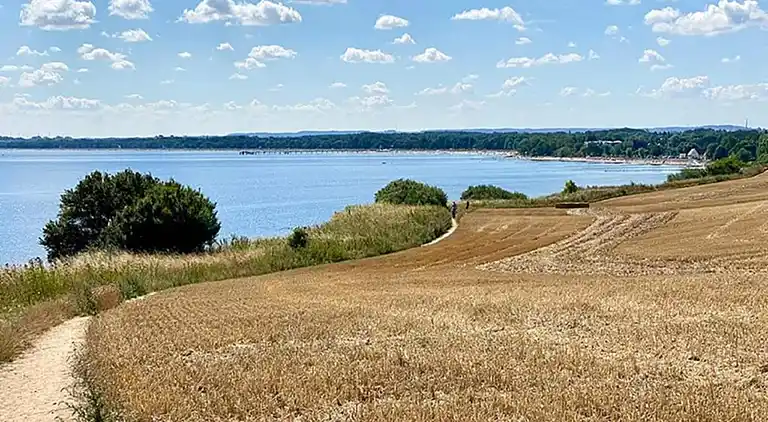 Bungalow in Elmenhorst
