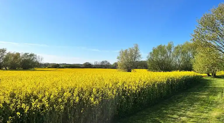Bungalow in Elmenhorst