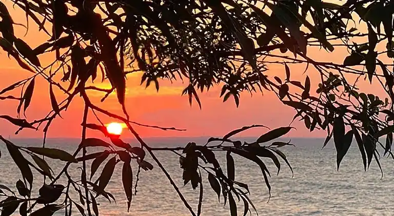 Bungalow in Elmenhorst