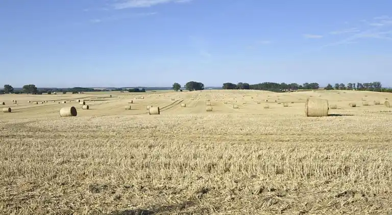 Ferielejlighed i Wohlenberg