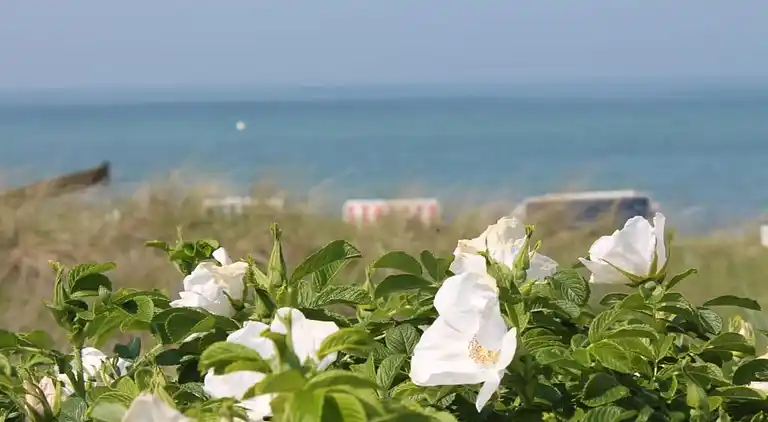 Ferielejlighed i Wohlenberg