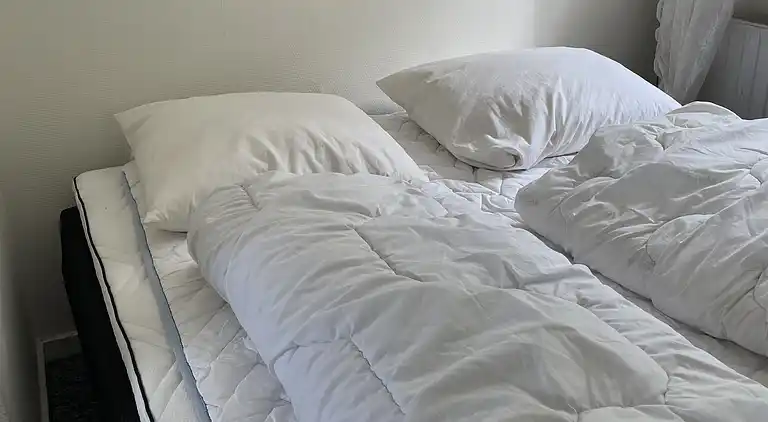 Gemütliches Bauernhaus mit fantastischer Umgebung