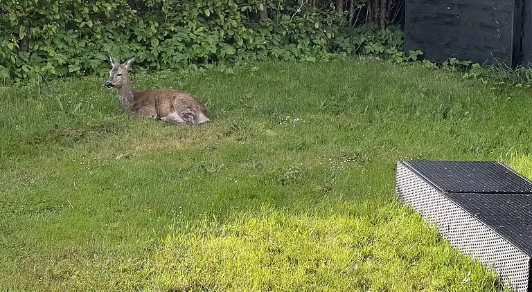 Ferienhaus mit Fjordblick in Vellerup