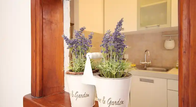 2-Zimmer-Ferienwohnung mit Terrasse und Meerblick Stari Grad