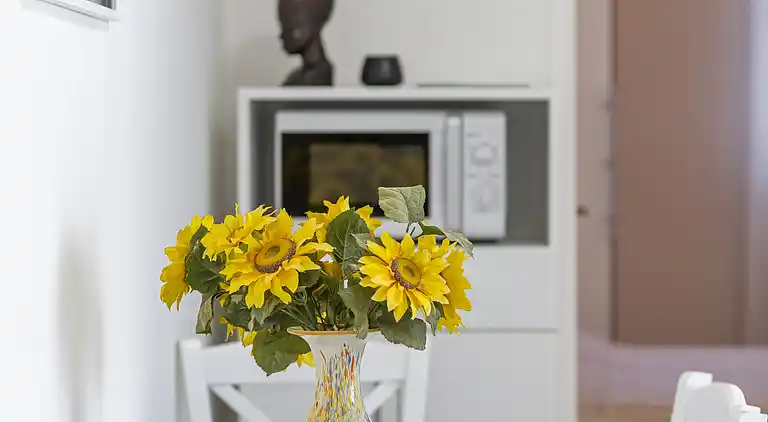 2-Zimmer-Ferienwohnung mit Terrasse Dubrovnik (A-9073-b)