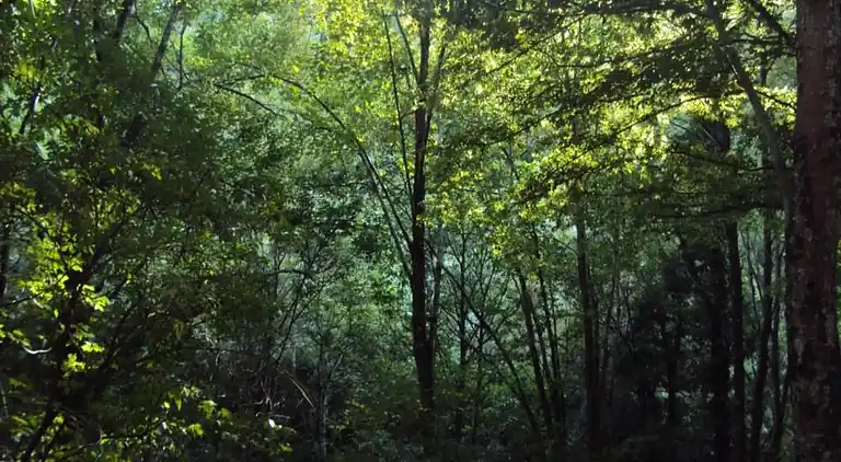 Cottage in Bévercé