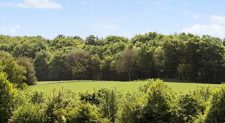 Strand, stjernehimmel og ro ved vandet