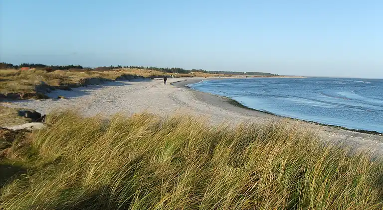 Unikt feriehus tæt på Hou/Hals