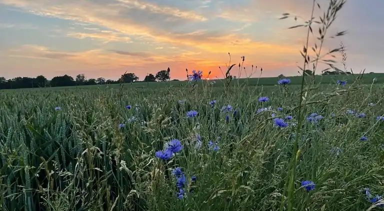 Apartment in Zweedorf