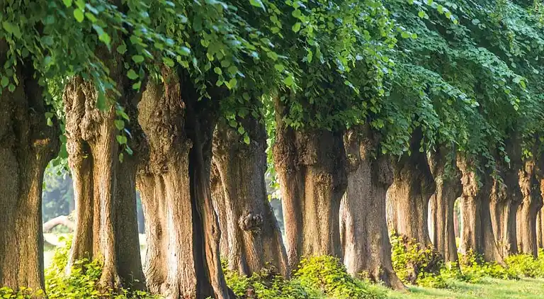 Holiday home in Klein Strömkendorf