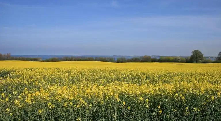 Ferielejlighed i Niederklutz