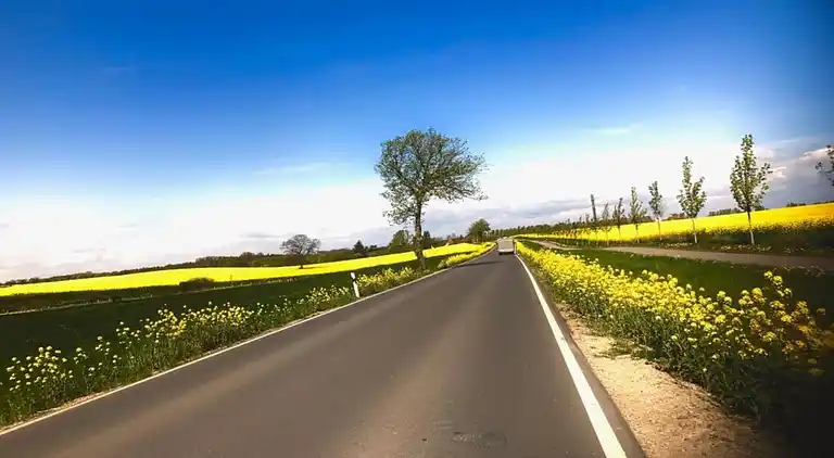 Ferielejlighed i Niederklutz