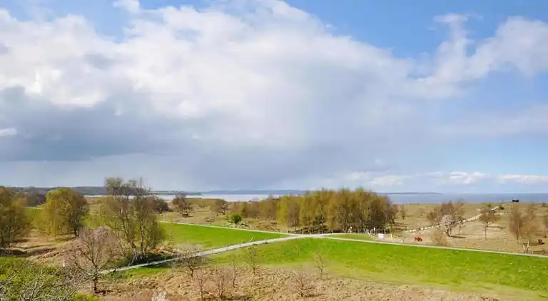 Bungalow i Reddelich