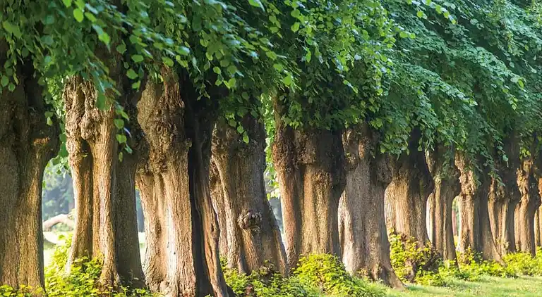 Ferielejlighed i Eixen