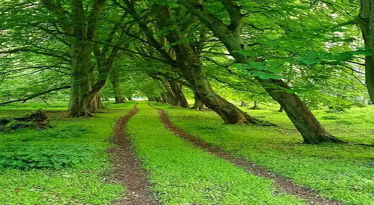 Ferielejlighed i Wismar