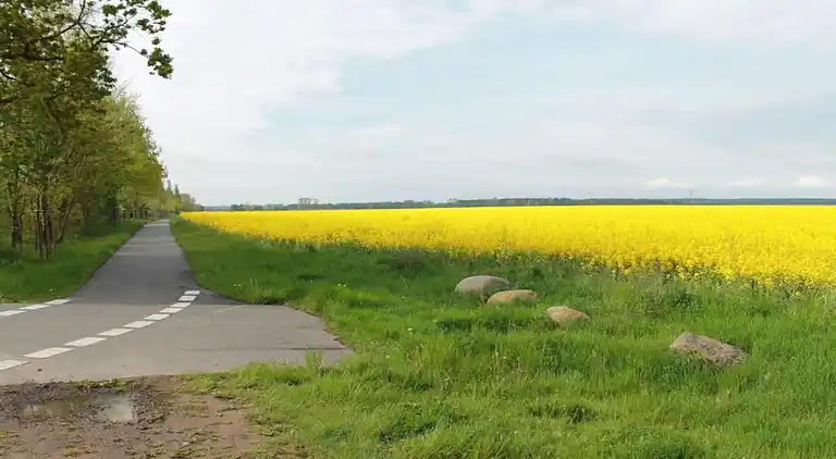 Ferielejlighed i Wohlenberg