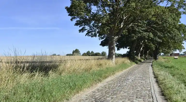 Ferielejlighed i Wohlenberg