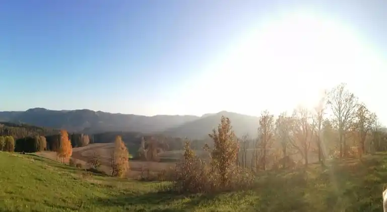 Ferielejlighed i Kirnitzschtal